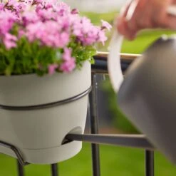 Elho Balkonkasten Vibia Campana All-in-One L50 Cm Weiß -Deutschland Gartenbedarf Verkäufe 2024 239183 elho vibia campana all in one weiss detail