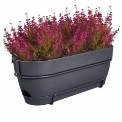 Elho Balkonkasten Vibia Campana All-in-One L50 Cm Anthrazit -Deutschland Gartenbedarf Verkäufe 2024 248551 elho vibia campana all in one anthrazit 50cm heide