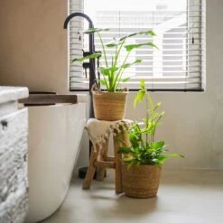 Blumentopf Nelis D28 Cm -Deutschland Gartenbedarf Verkäufe 2024 277204 ts indoor blumixx blumentopf nelis 23cm natur badezimmer